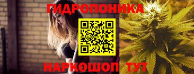 стаф Ипатово