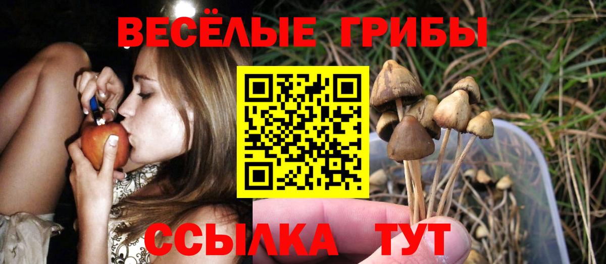 Псилоцибиновые грибы мухоморы Мыски